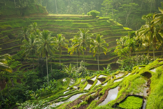 Places to Visit in Bali tegalallan bali