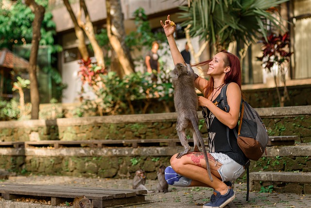 Places to Visit in Bali monkey forest sanctuary