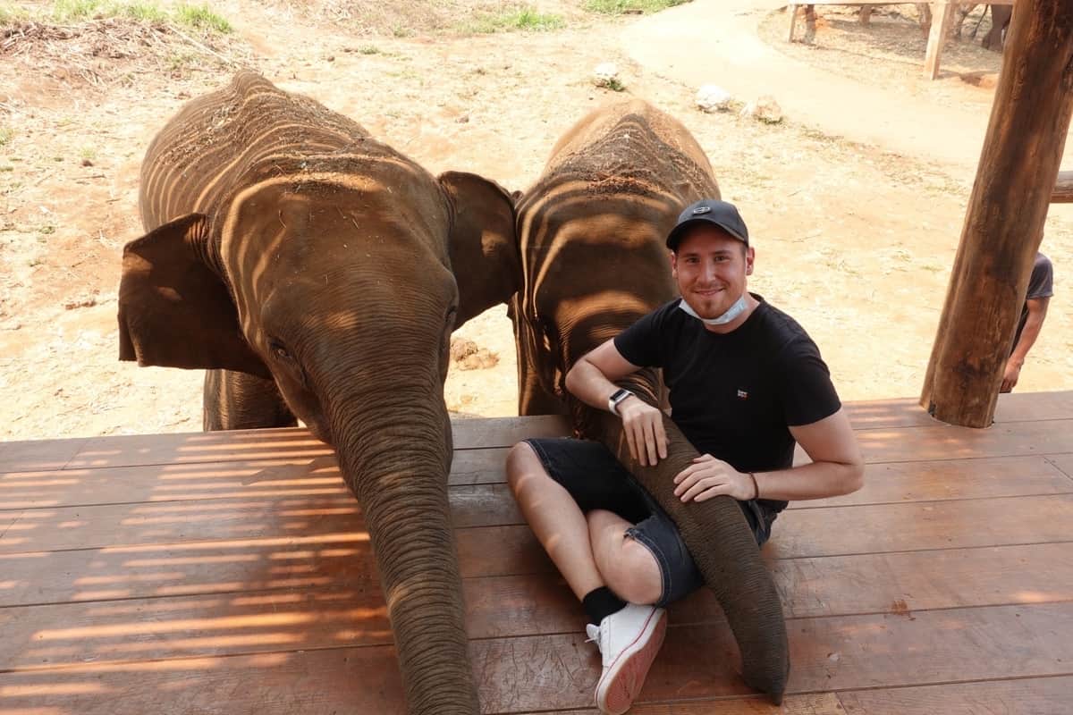 Two elephants with a seated man. day trips from Chiang Mai