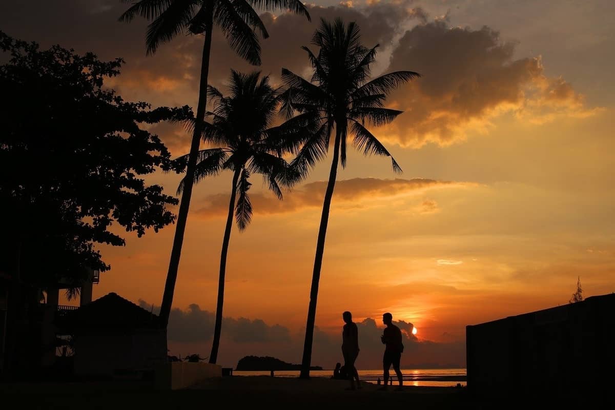 Sunset silhouette of palms and two people.