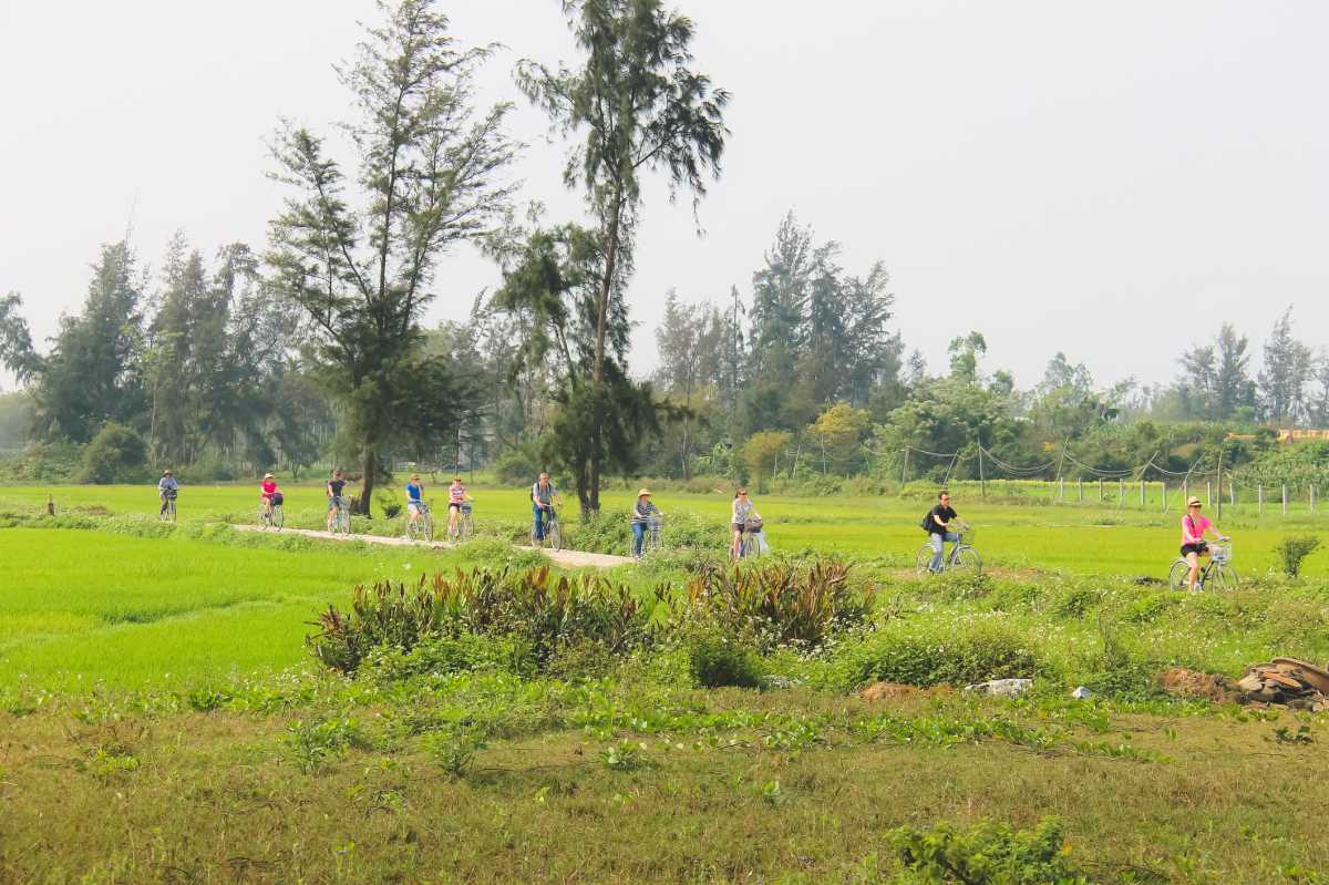 Tourists on a Hoi An cycling tour in a lush field in Vietnam countryside.