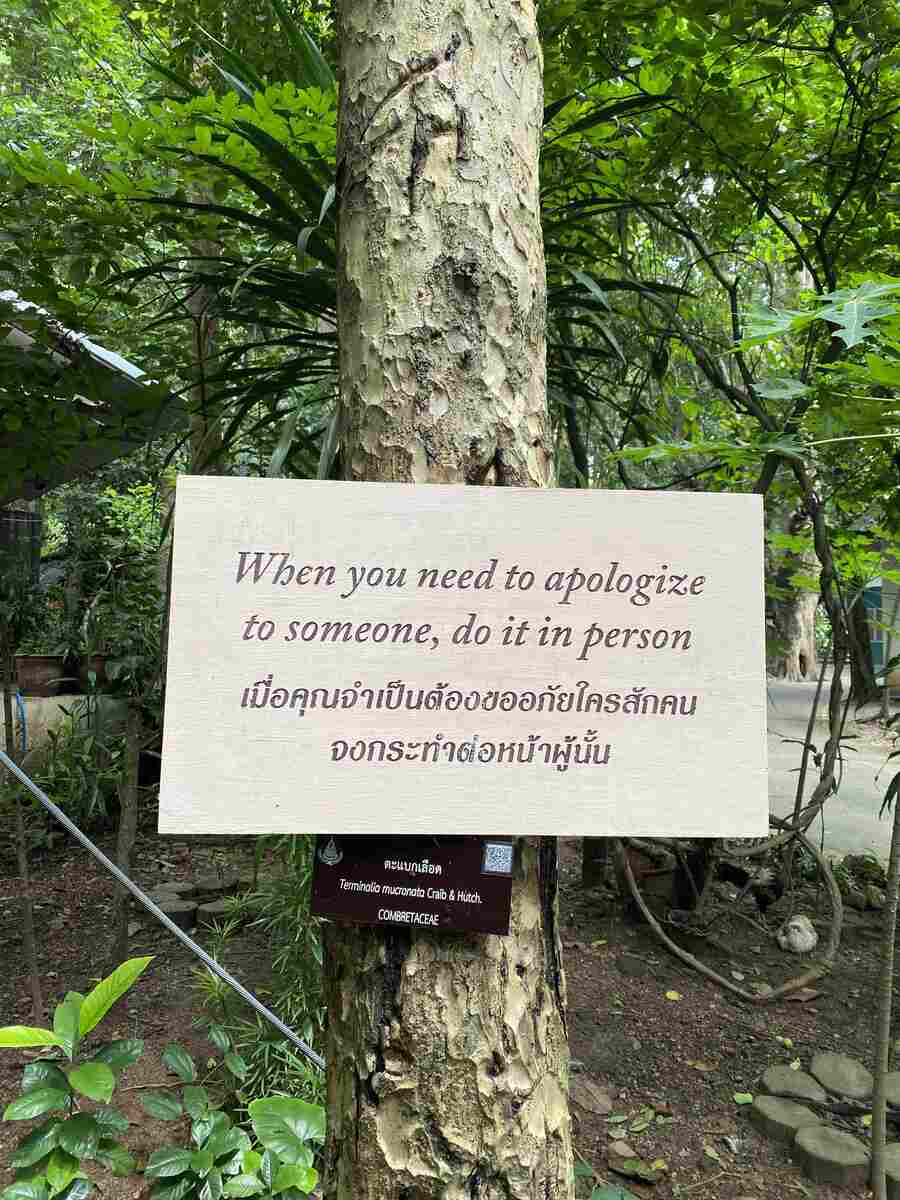 Wooden sign about apologizing in a forest.
