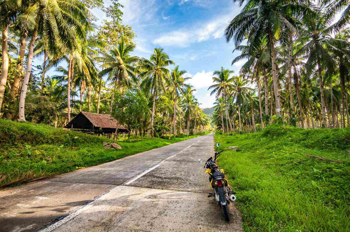 Road through lush tropical landscape.