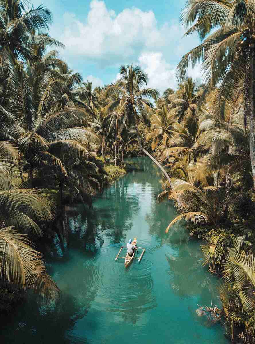 Tropical river oasis with palm trees.