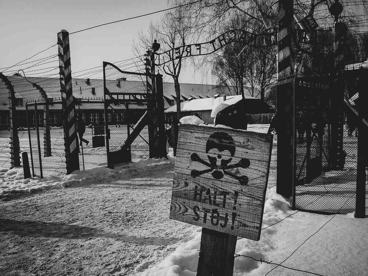 Auschwitz-Birkenau: Fast-Track Ticket & Tour No Transfers, KRAKOW TO AUSCHWITZ TOURS