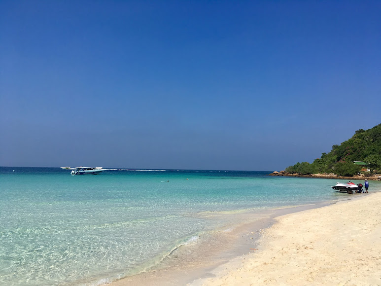 Tropical beach with clear blue water.