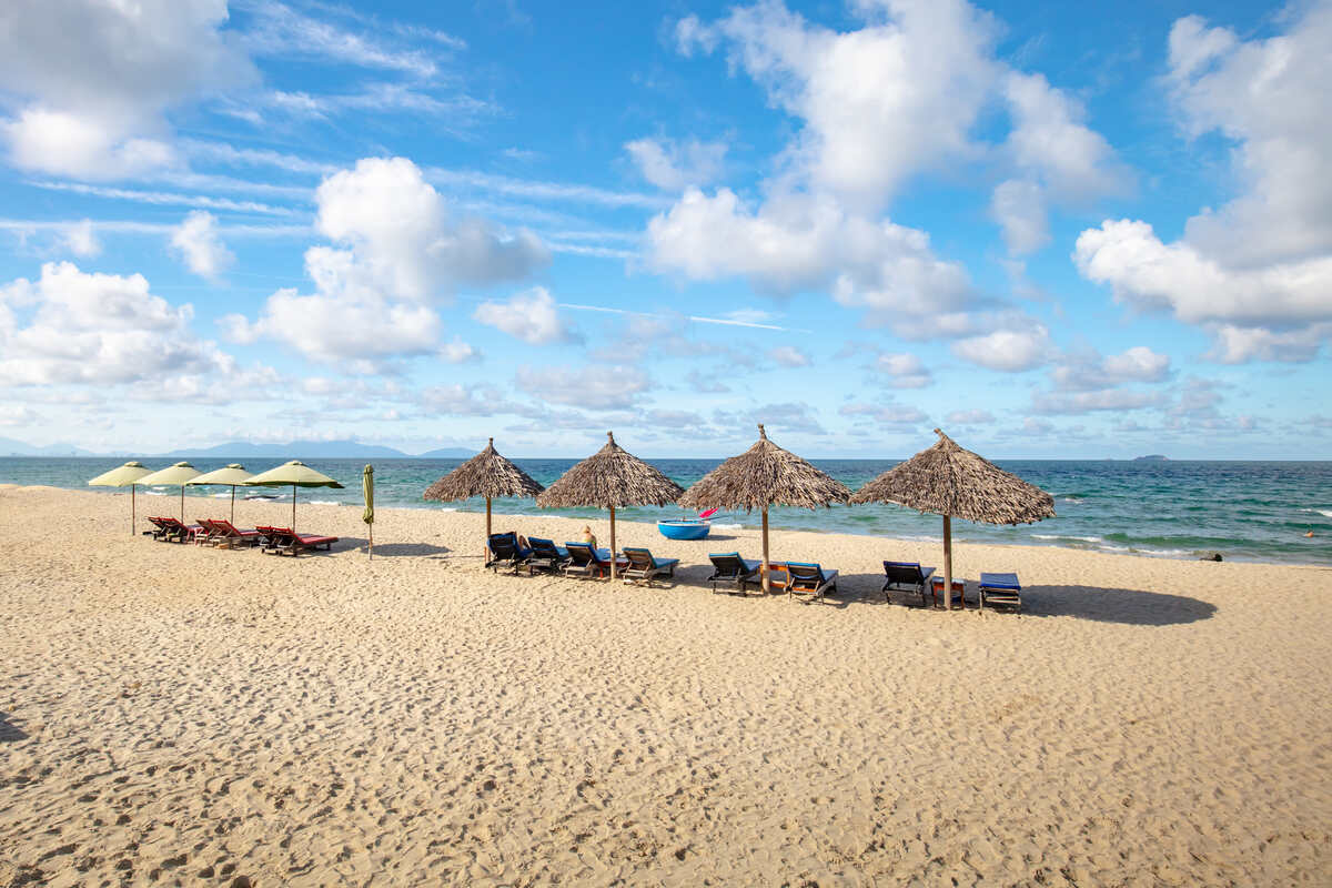 Beach umbrellas on a sunny seaside.