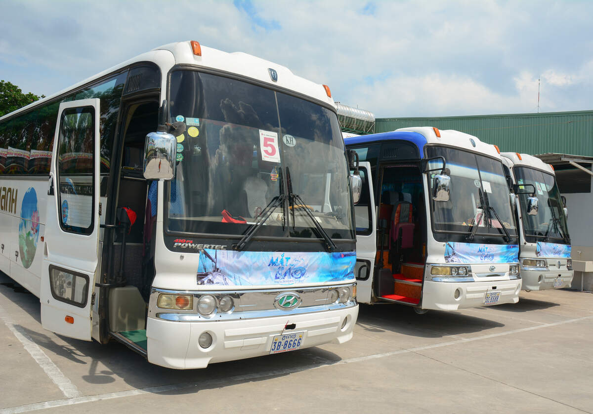 Parked tour buses with colorful livery.