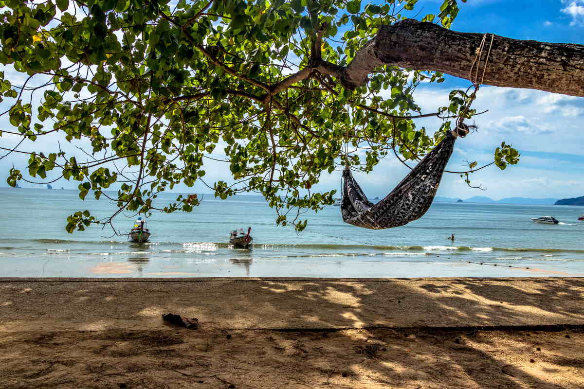 Hammock between palm trees by the sea.