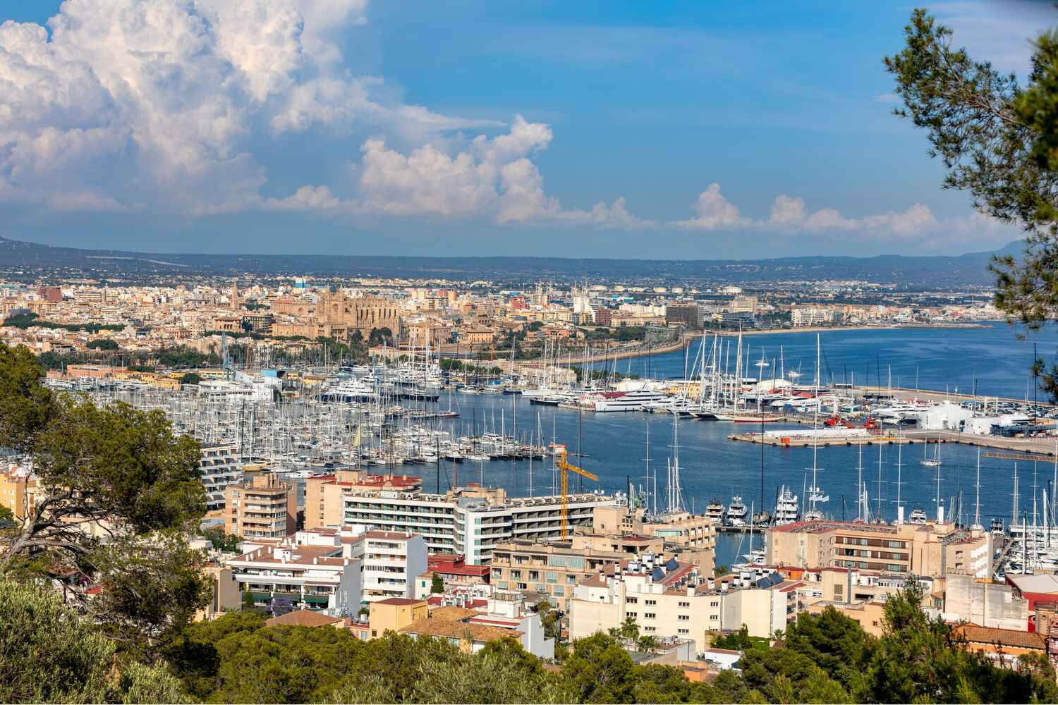 Aerial view of a coastal town in the Balearic islands, with a marina and extensive beaches.