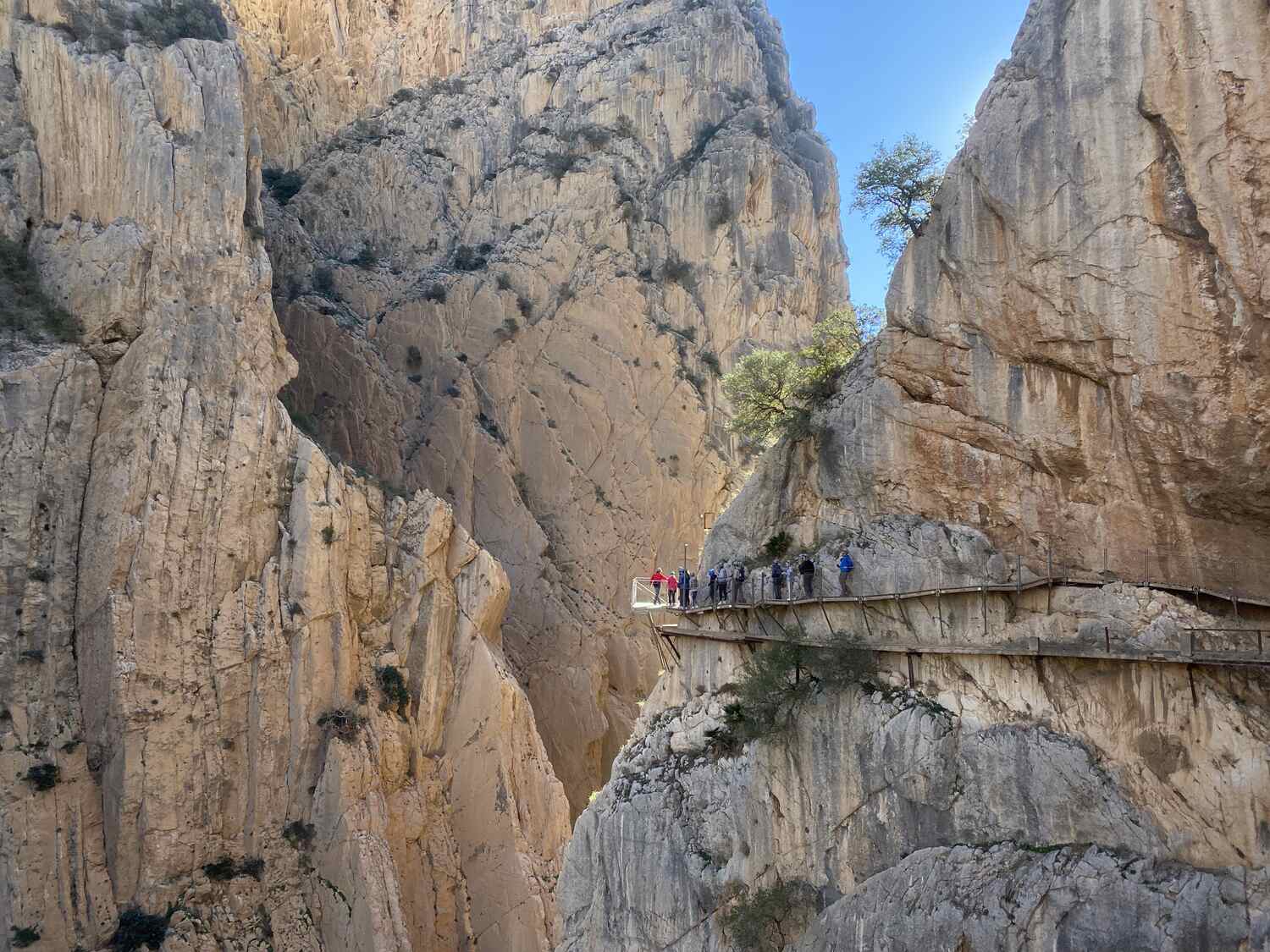 Tourist with outstretched arms atop the Caminito del Rey's walkway, high cliffs on either side.