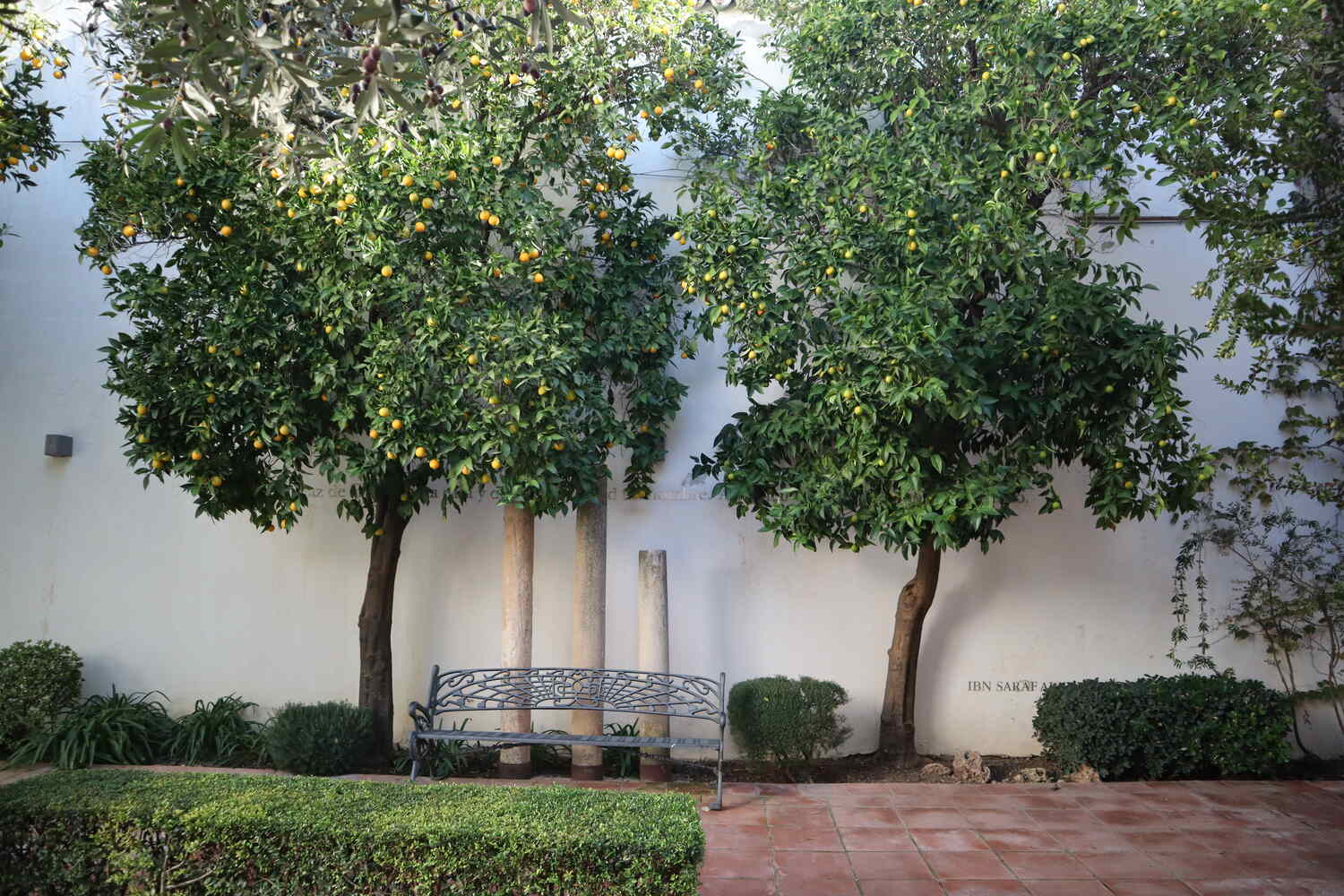 Courtyard with an orange tree at the Casa del Gigante in Ronda