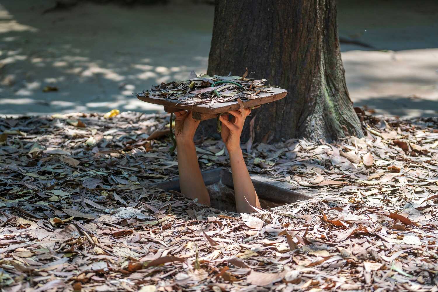 Hands holding a makeshift bird feeder made of wood in a park, surrounded by fallen leaves in the Cu Chi Tunnels in Vietnam.