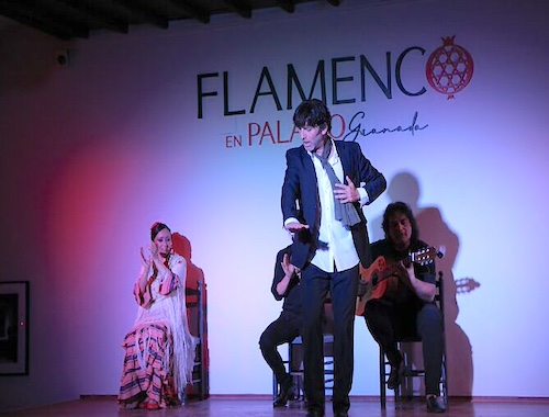 Flamenco-Show-Ticket-Palacio-Siglo-XVI
