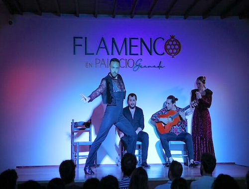 Flamenco-Show-Ticket-at-Palacio-Siglo-XVI