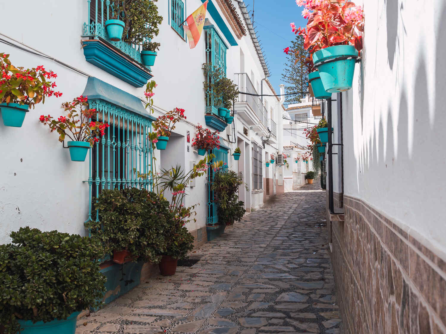 Flower-lined-street-in-Estepona-on-a-sunny-day best white villages near Malaga
