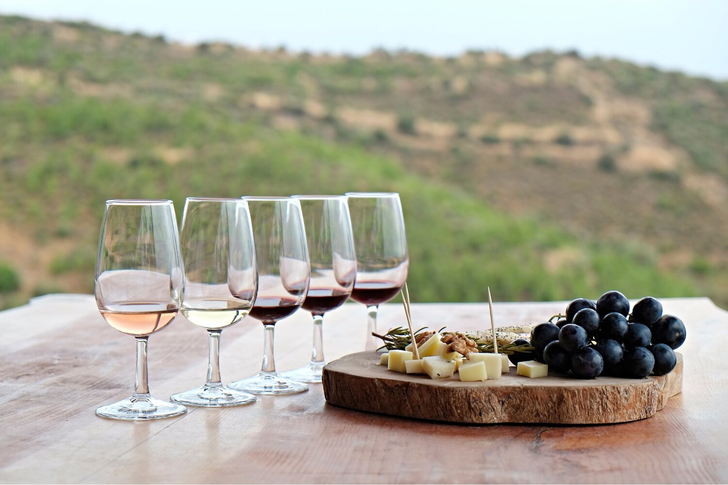 A spread of wine glasses and a cheese platter set outdoors with a vineyard and rolling hills in the background.