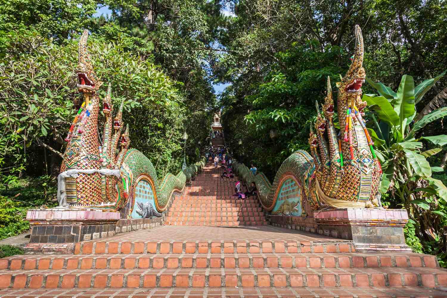 A long stone staircase flanked by greenery and mythical serpent-like statues in a traditional Asian architectural style. Get to Doi Suthep in Chiang Mai Thailand