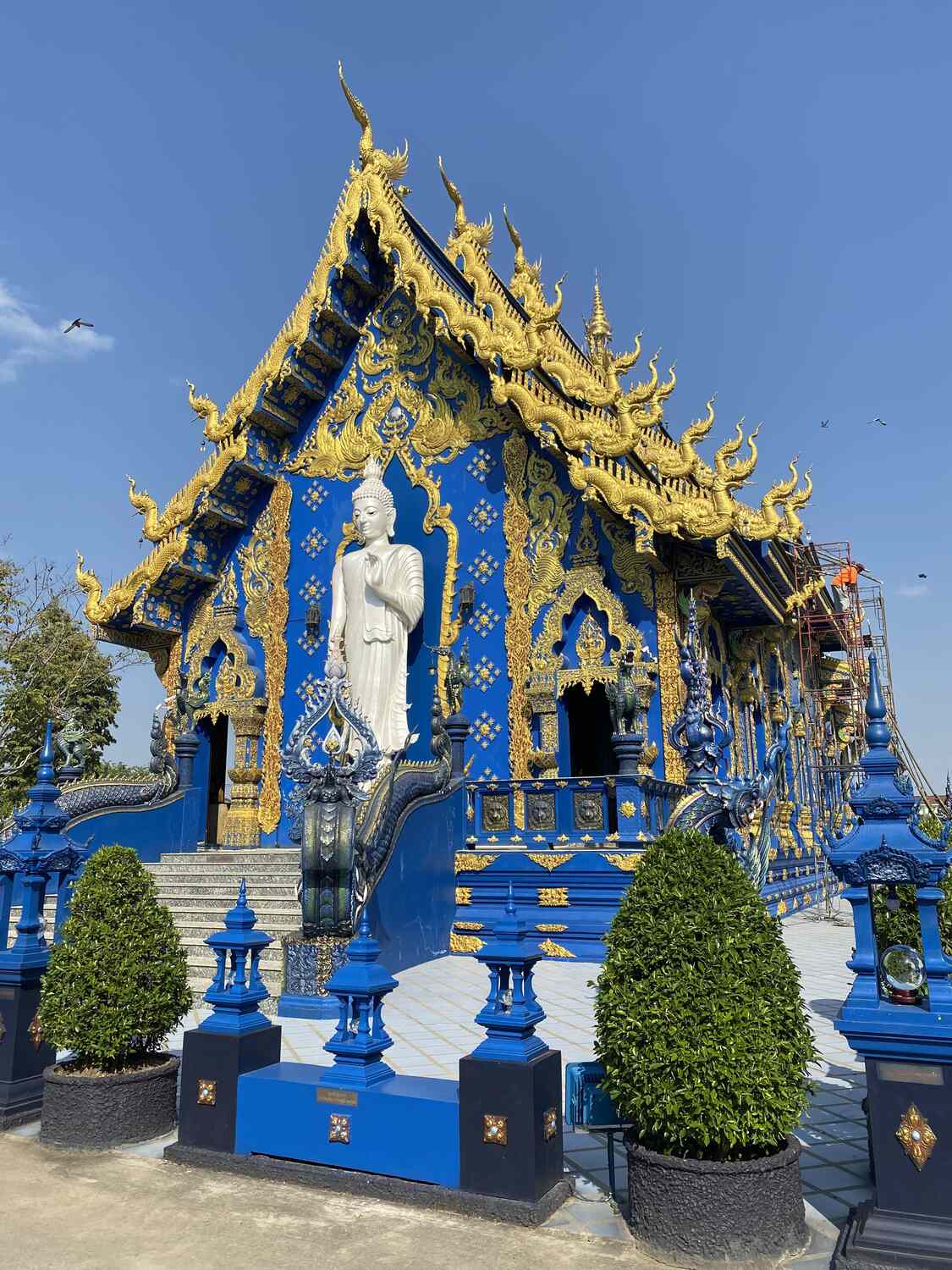 In front of the blue temple in Chiang Rai