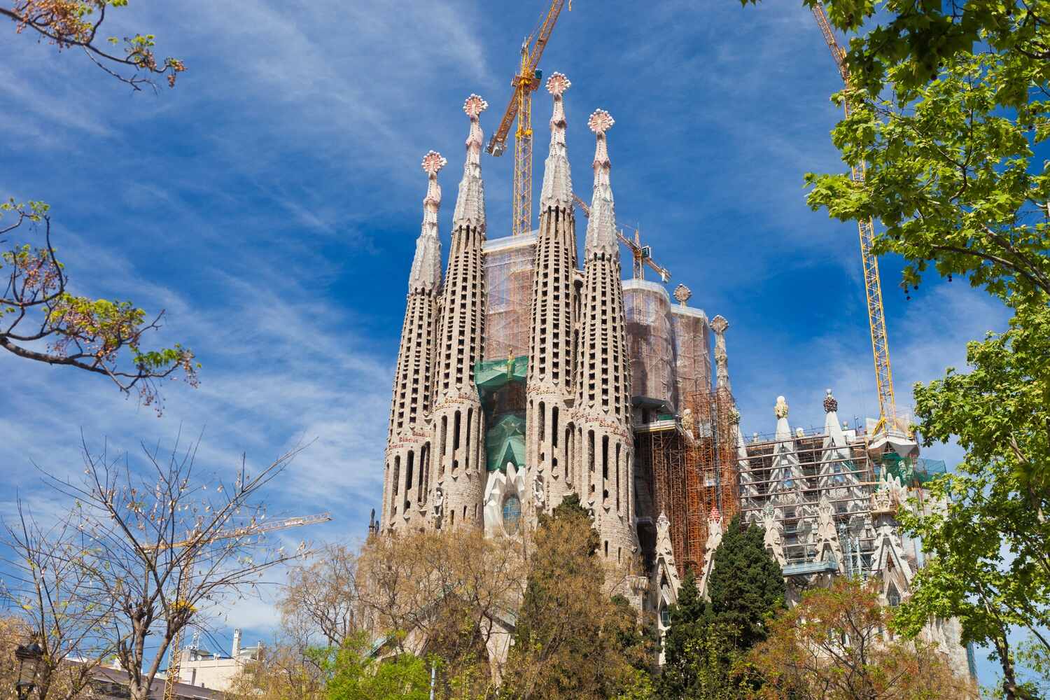 Wide view of La Sagrada Familia's towers and cranes against a blue sky, showcasing ongoing construction