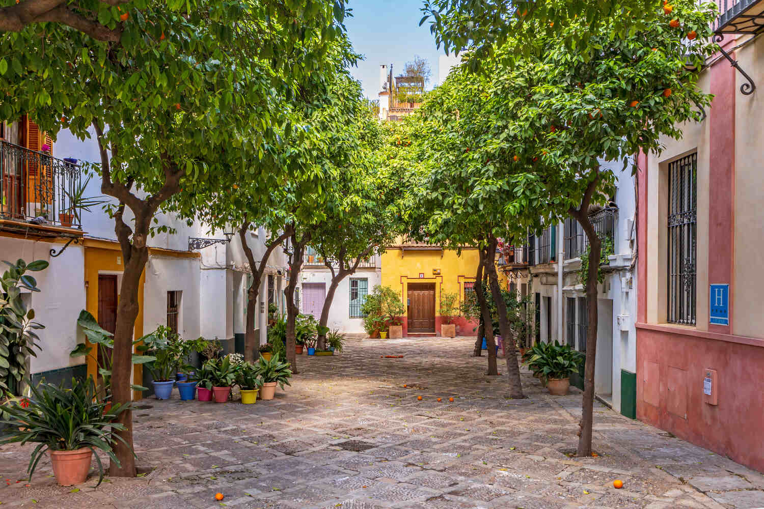 Santa Cruz area in Seville with trees and flowers