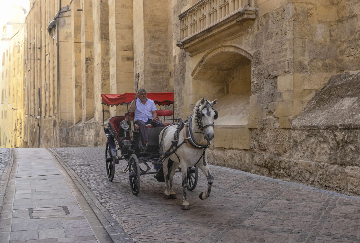 Streets of Cordoba with a horse carriage