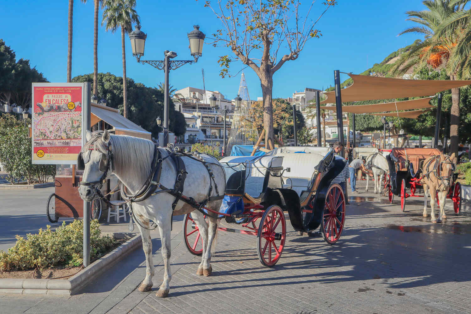 Take-a-Horse-Carriage-Ride-in-Mijas