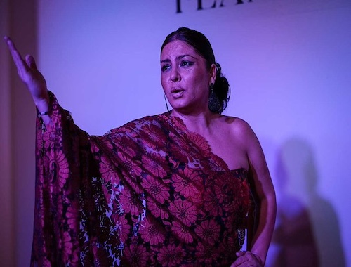 Traditional Flamenco Show Casa del Arte Flamenco