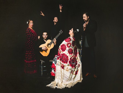 Traditional-Flamenco-Show-Tablao-Casa-Ana