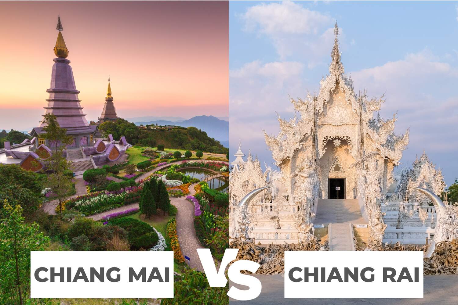 Chiang Mai or Chiang Rai ultimate comparison