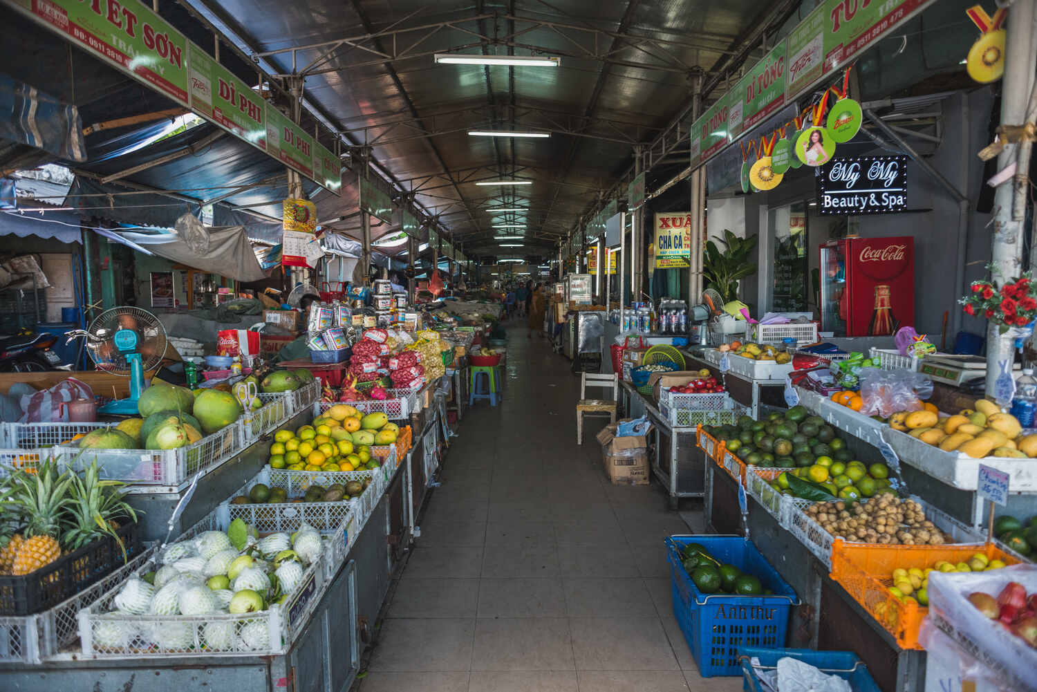 Alley inside the Cho Con Market in Da Nang with fruits and vegetables