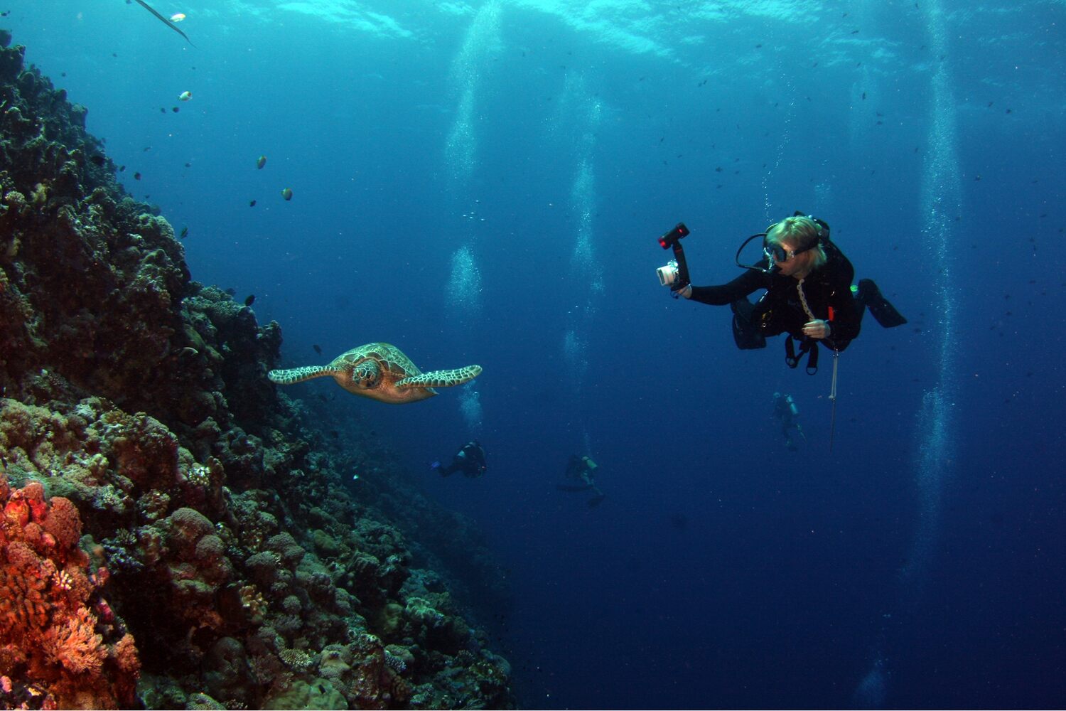 Diving-in-Krabi