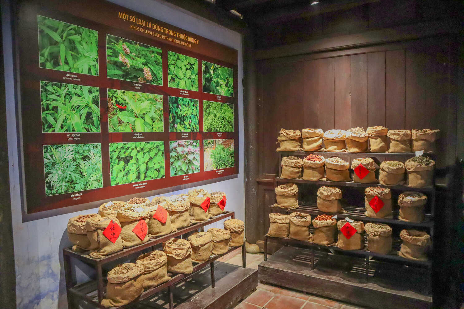 Traditional-herbs-for-medicine-at-Hoi-An-Medicine-Museum