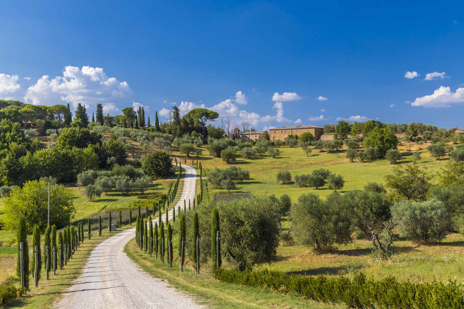 Plan-the-Best-7-Day-Tuscany-Itinerary