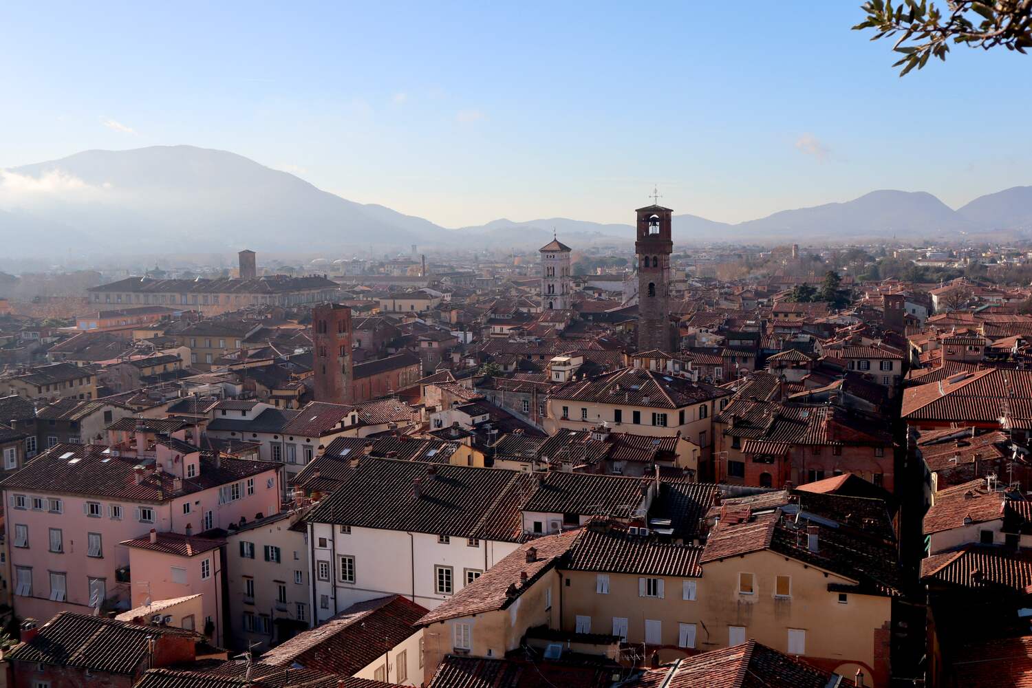 View from Torre Guinigi in Lucca in one day