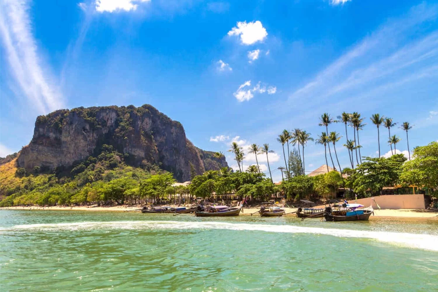 Beachfront with palm trees and a mountain backdrop.