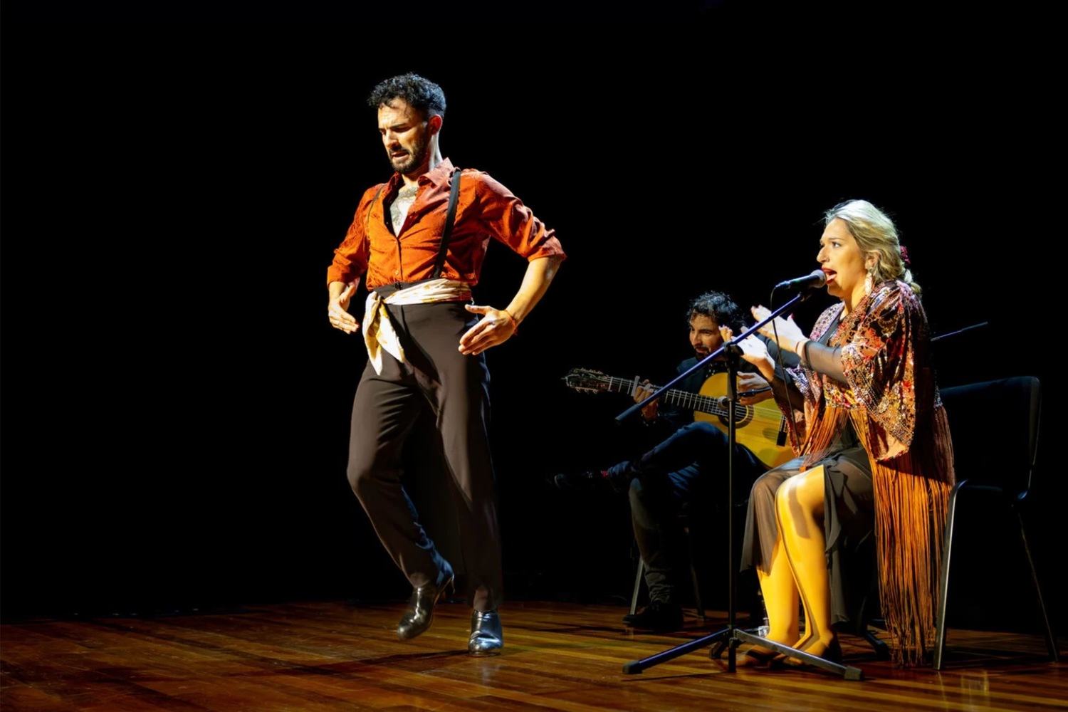 Enjoy a Live Flamenco Show at La Alegría in Malaga