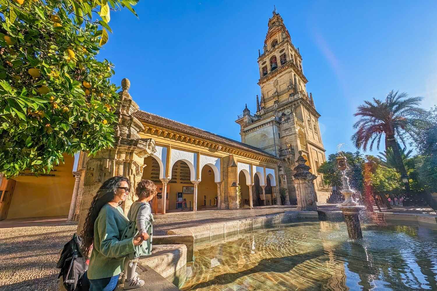 Courtyard at the Mezquita of Cordoba